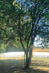 ceremony-seating
